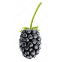 Blackberry (Ожина)