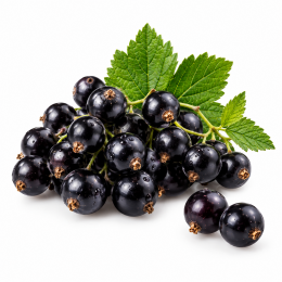 Blackcurrant (Чорна смородина) Blackcurrant (Чорна смородина)