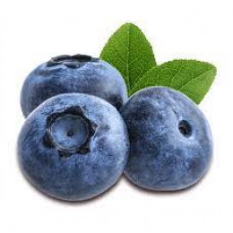 Blueberry (Чорниця)