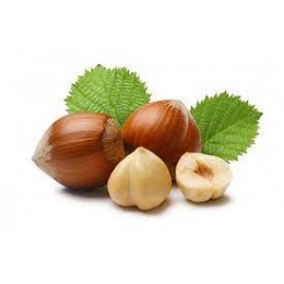 Hazelnut (Лісовий Горіх)