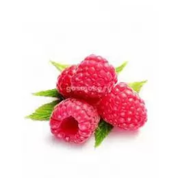Raspberry V2 (Малина)