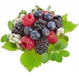 Berries (Ягоды)