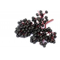 Elderberry(Ягода Бузини)