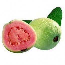 Guava (Гуава)