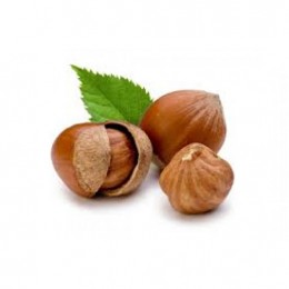 Hazelnut (Фундук)