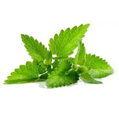 Освежающий ароматизатор мята